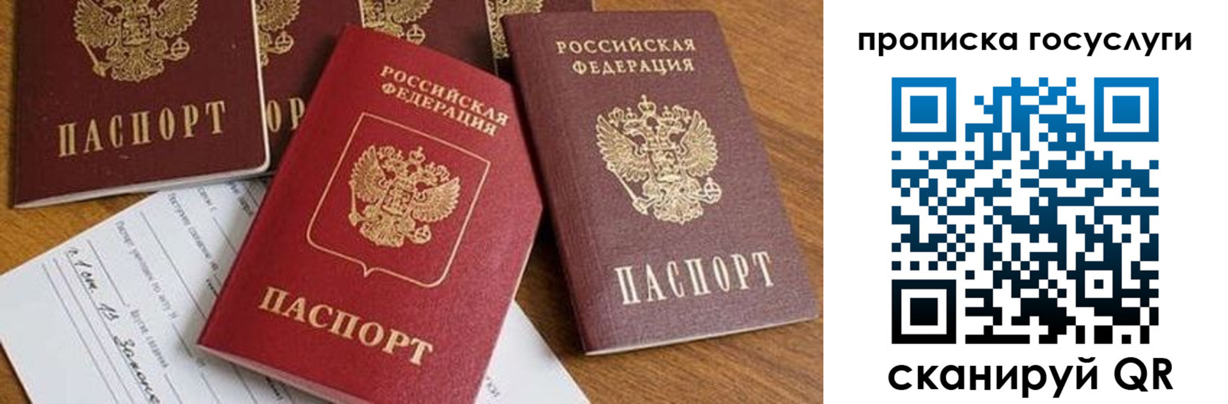 прописка ребенка в Видном